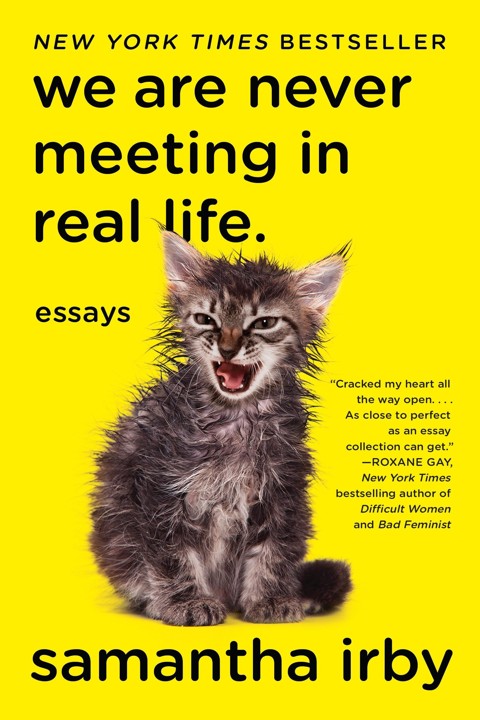 We Are Never Meeting in Real Life free audiobook