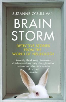 Brainstorm audiobook cover