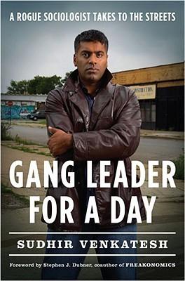 Gang Leader for a Day free audiobook