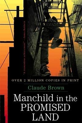 Manchild in the Promised Land free audiobook