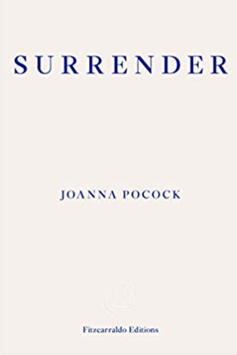 Surrender by Joanna Pocock free audiobook