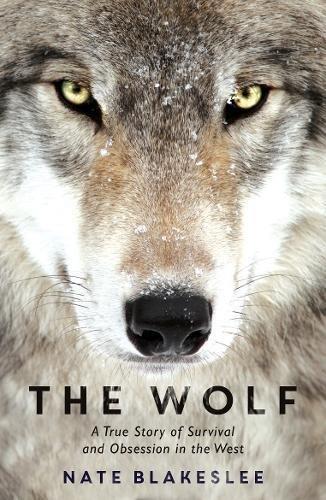 The Wolf free audiobook