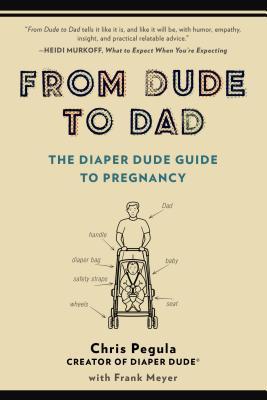 From Dude To Dad free audiobook
