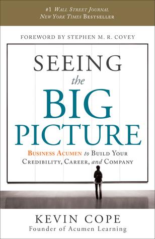 Seeing The Big Picture free audiobook