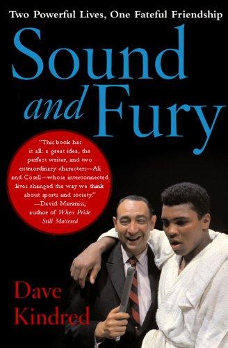 Sound And Fury audiobook cover