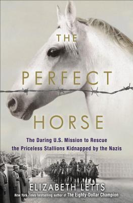 The Perfect Horse free audiobook