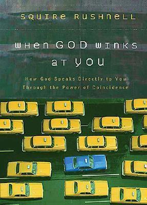 When God Winks At You audiobook cover