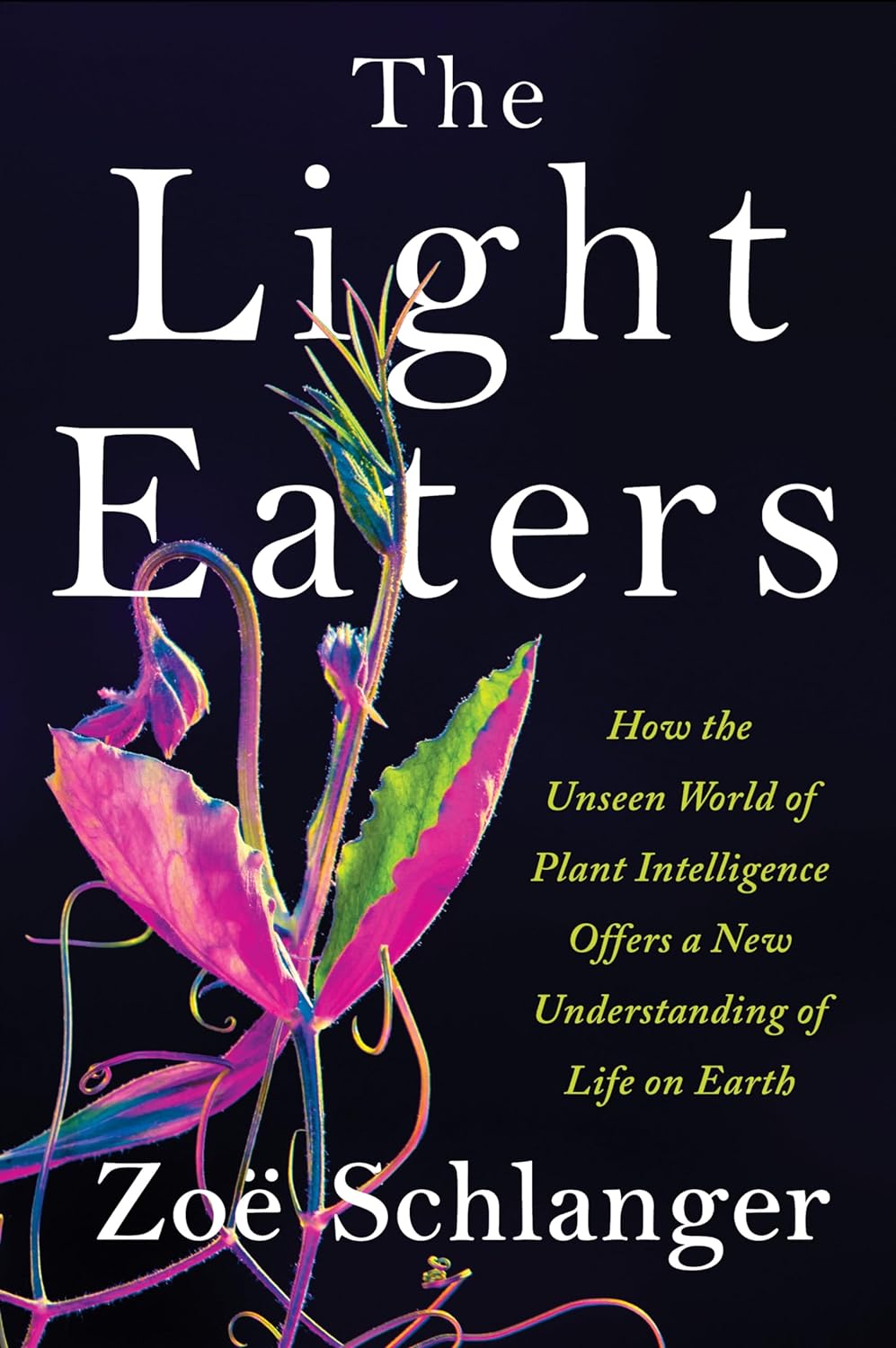 The Light Eaters audiobook cover